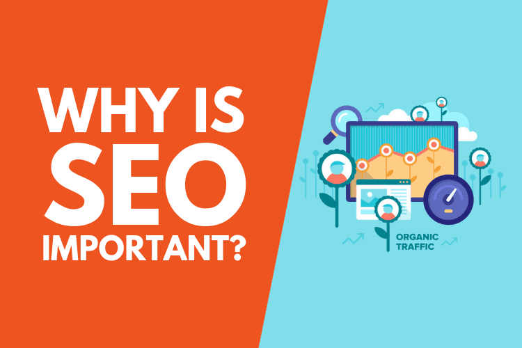 Pentingnya SEO dan Fungsi dalam Website